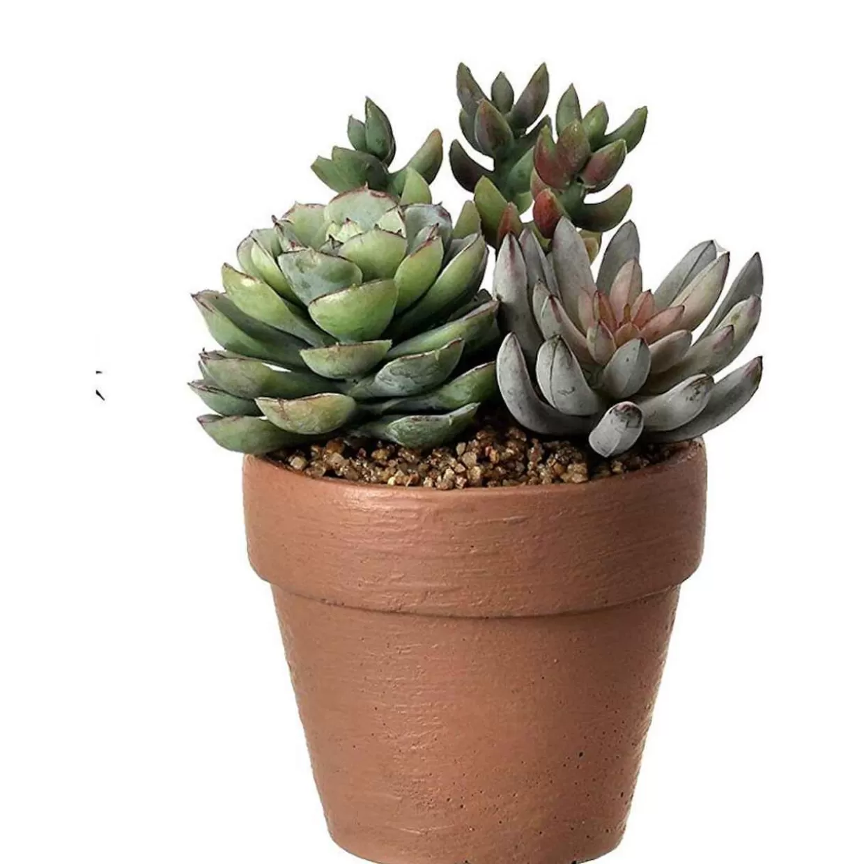 Kurt Adler Frost Succulent In Clay Pot* Easter And Spring
