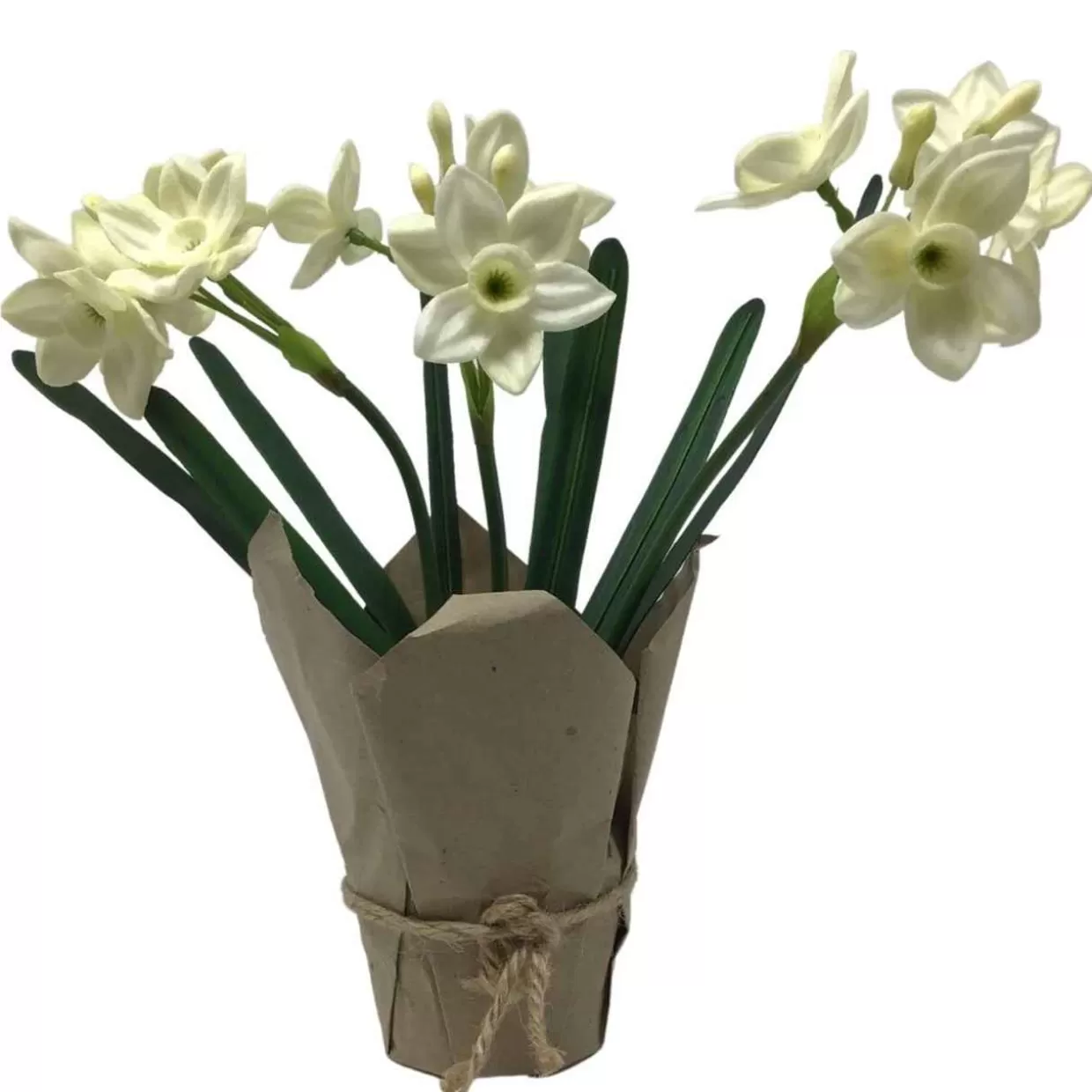 * Real Touch Potted Faux Paperwhites* Easter And Spring