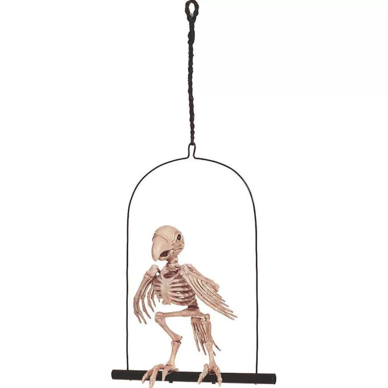 * Skeleton Parrot On A Perch* Halloween