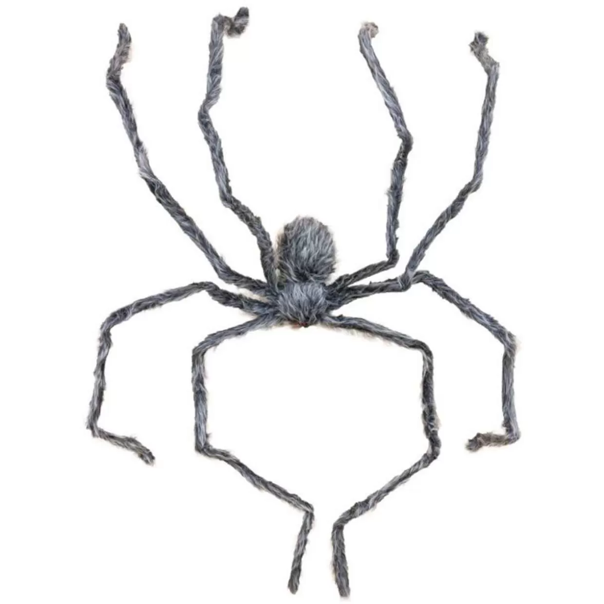 * Spooky Spider* Halloween